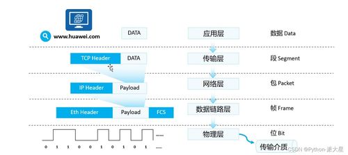 網(wǎng)絡(luò)基礎(chǔ)概覽 設(shè)備、模型、協(xié)議與通信過程
