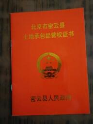 北京農林業(yè)用地流轉全解析 從轉讓出租到承包價格一站式指南